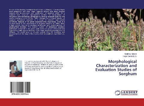 Morphological Characterization and Evaluation Studies of Sorghum