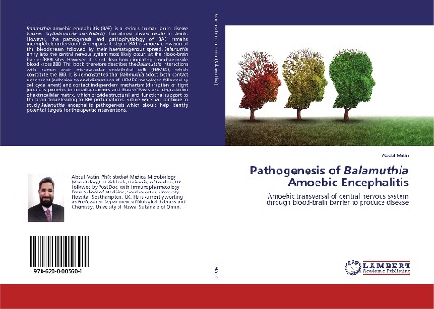 Pathogenesis of Balamuthia Amoebic Encephalitis: Amoebic transversal of central nervous system through blood-brain barrier to produce disease