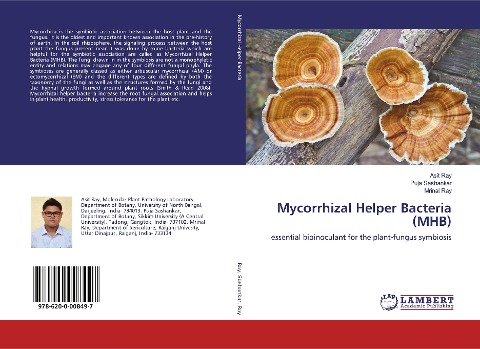 Mycorrhizal Helper Bacteria (MHB): essential bioinoculant for the plant-fungus symbiosis