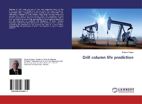 Drill column life prediction