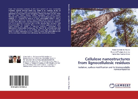 Cellulose nanostructures from lignocellulosic residues: Isolation, surface modification and its biodegradable nanocomposites