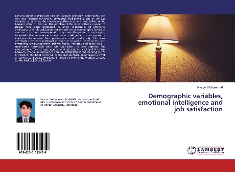 Demographic variables, emotional intelligence and job satisfaction