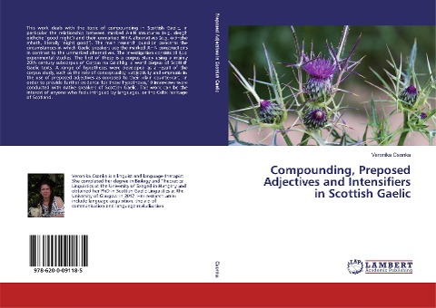 Compounding, Preposed Adjectives and Intensifiers in Scottish Gaelic