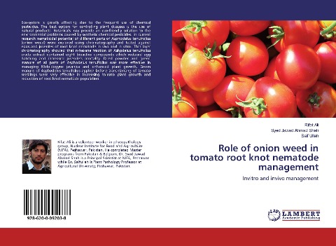 Role of onion weed in tomato root knot nematode management: Invitro and invivo management