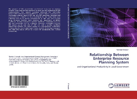 Relationship Between Enterprise Resource Planning System: and Organizational Productivity in Local Government