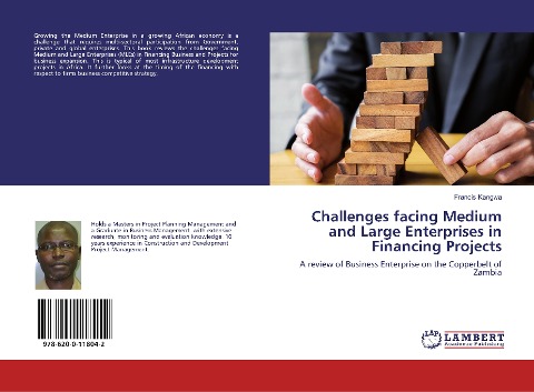 Challenges facing Medium and Large Enterprises in Financing Projects: A review of Business Enterprise on the Copperbelt of Zambia