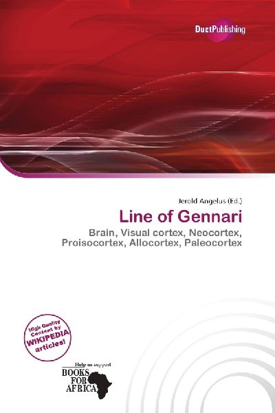 Line of Gennari: Brain, Visual cortex, Neocortex, Proisocortex, Allocortex, Paleocortex