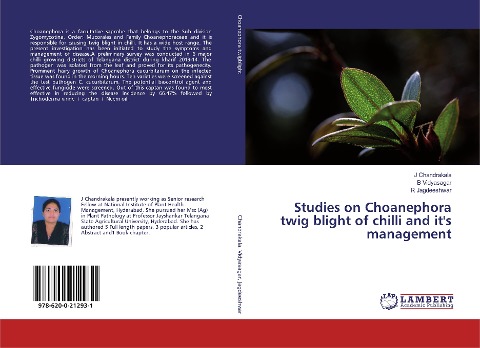 Studies on Choanephora twig blight of chilli and its management