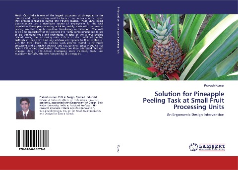Solution for Pineapple Peeling Task at Small Fruit Processing Units: An Ergonomic Design Intervention