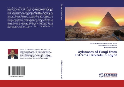Xylanases of Fungi from Extreme Habitats in Egypt