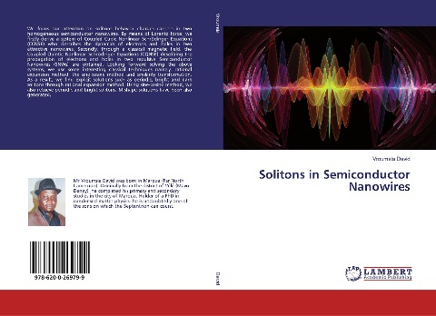Solitons in Semiconductor Nanowires