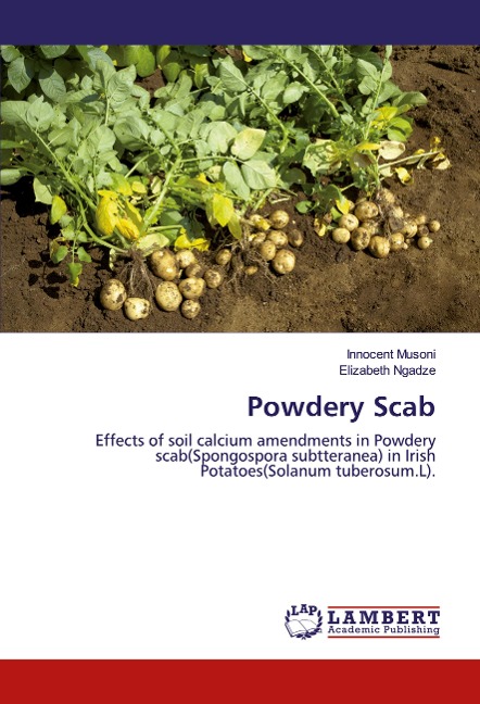 Powdery Scab: Effects of soil calcium amendments in Powdery scab(Spongospora subtteranea) in Irish Potatoes(Solanum tuberosum.L).