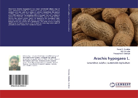 Arachis hypogaea L.: Groundnut, Sulphur, Sustainable Agriculture