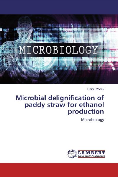 Microbial delignification of paddy straw for ethanol production: Microbiology