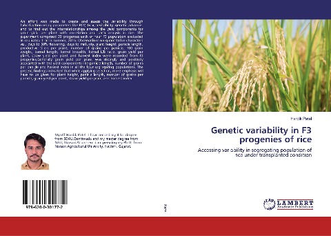 Genetic variability in F3 progenies of rice: Accessing variability in segregating population of rice under transplanted condition