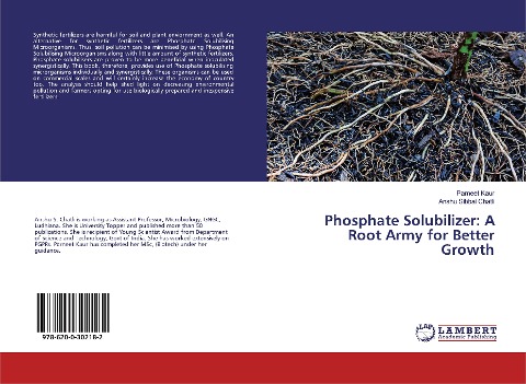 Phosphate Solubilizer: A Root Army for Better Growth