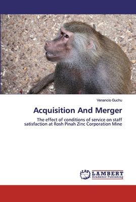 Acquisition And Merger: The effect of conditions of service on staff satisfaction at Rosh Pinah Zinc Corporation Mine