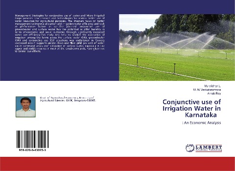 Conjunctive use of Irrigation Water in Karnataka: : An Economic Analysis