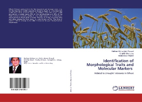 Identification of Morphological Traits and Molecular Markers: Related to Drought Tolerance in Wheat