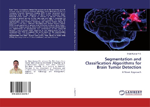 Segmentation and Classification Algorithms for Brain Tumor Detection: A Novel Approach