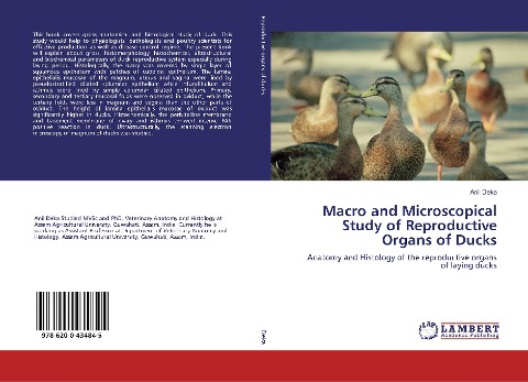 Macro and Microscopical Study of Reproductive Organs of Ducks: Anatomy and Histology of the reproductive organs of laying ducks
