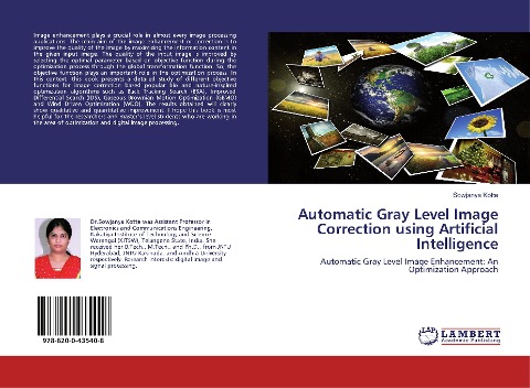 Automatic Gray Level Image Correction using Artificial Intelligence: Automatic Gray Level Image Enhancement: An Optimization Approach