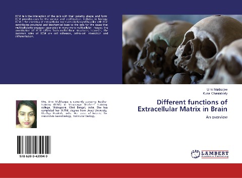 Different functions of Extracellular Matrix in Brain: An overview