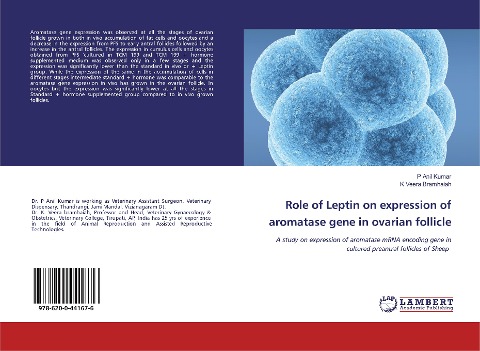 Role of Leptin on expression of aromatase gene in ovarian follicle: A study on expression of aromatase mRNA encoding gene in cultured preantral follicles of Sheep