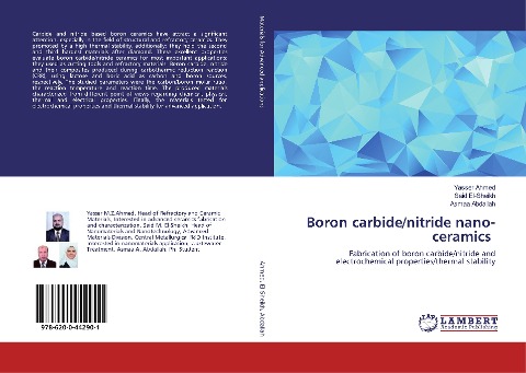 Boron carbide/nitride nano-ceramics: Fabrication of boron carbide/nitride and electrochemical properties/thermal stability