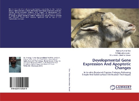 Developmental Gene Expression And Apoptotic Changes: In In-vitro Produced Caprine Embryos Following Simple And Solid-surface Vitrification Techniques