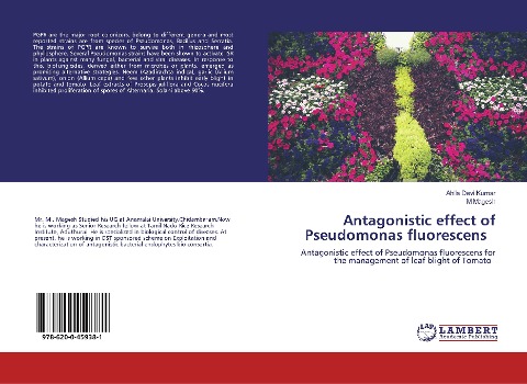 Antagonistic effect of Pseudomonas fluorescens: Antagonistic effect of Pseudomonas fluorescens for the management of leaf blight of Tomato