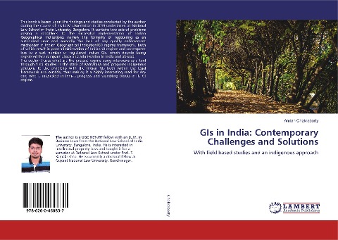 GIs in India: Contemporary Challenges and Solutions: With field based studies and an indigenous approach