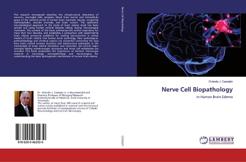 Nerve Cell Biopathology: in Human Brain Edema