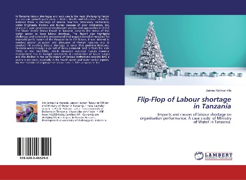Flip-Flop of Labour shortage in Tanzania: Impacts and causes of labour shortage on organisation performance. A case study of Ministry of Water in Tanzania
