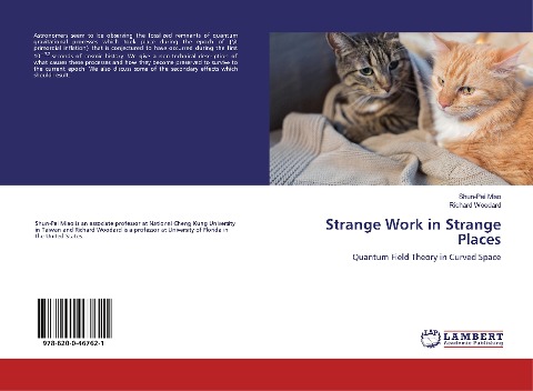 Strange Work in Strange Places: Quantum Field Theory in Curved Space