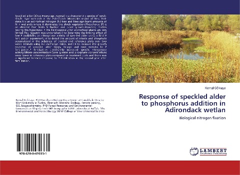 Response of speckled alder to phosphorus addition in Adirondack wetlan: Biological nitrogen fixation
