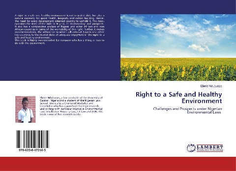 Right to a Safe and Healthy Environment: Challenges and Prospects under Nigerian Environmental Laws