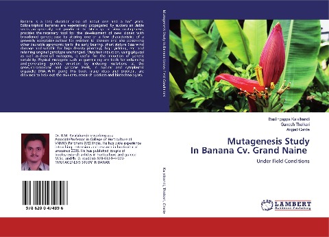 Mutagenesis Study In Banana Cv. Grand Naine: Under Field Conditions