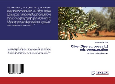 Olive (Olea europaea L.) micropropagation: Methods and applications