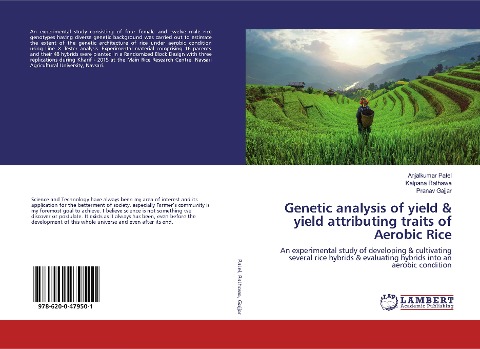 Genetic analysis of yield & yield attributing traits of Aerobic Rice: An experimental study of developing & cultivating several rice hybrids & evaluating hybrids into an aerobic condition
