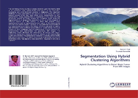 Segmentation Using Hybrid Clustering Algorithms: Hybrid Clustering Algorithms to Detect Brain Tumor From MRI Images