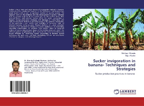 Sucker invigoration in banana- Techniques and Strategies: Sucker production practices in banana