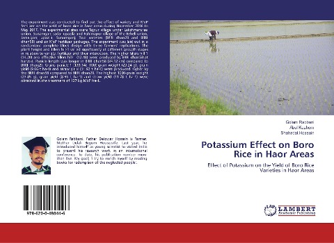 Potassium Effect on Boro Rice in Haor Areas: Effect of Potassium on the Yield of Boro Rice Varieties in Haor Areas