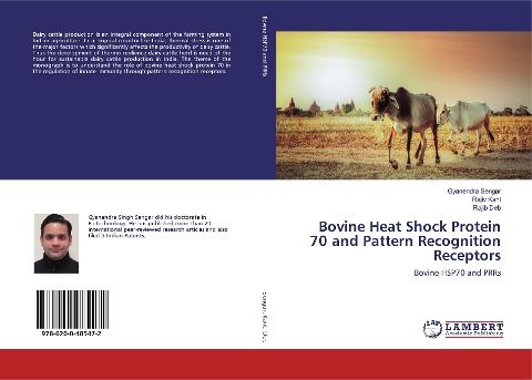 Bovine Heat Shock Protein 70 and Pattern Recognition Receptors: Bovine HSP70 and PRRs