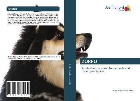 ZORRO: A tale about a street Border collie and his acquaintances