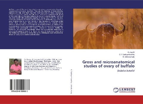 Gross and microanatomical studies of ovary of buffalo: (Bubalus bubalis)
