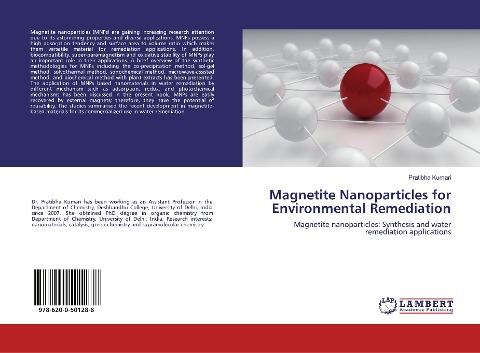 Magnetite Nanoparticles for Environmental Remediation: Magnetite nanoparticles: Synthesis and water remediation applications