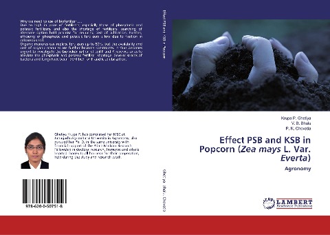 Effect PSB and KSB in Popcorn (Zea mays L. Var. Everta): Agronomy