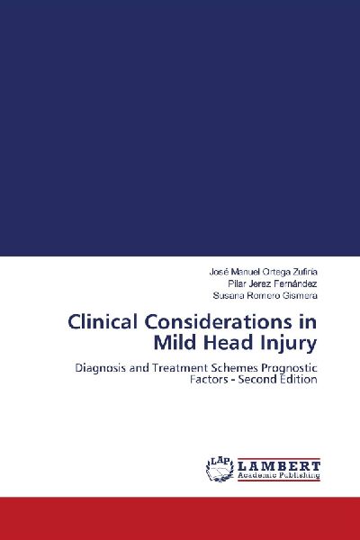Clinical Considerations in Mild Head Injury: Diagnosis and Treatment Schemes Prognostic Factors - Second Edition