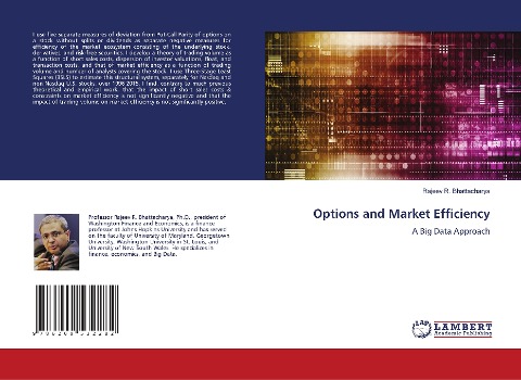 Options and Market Efficiency: A Big Data Approach